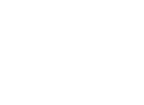 White text on gray background reads “DAILY BREAD SOURDOUGH” with a wheat icon between the words.