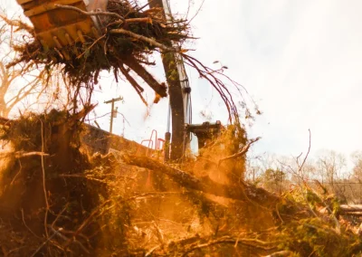 Excavator lifts dirt and tree debris, with dust in the air and trees in the background.
