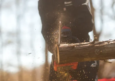 A person uses a chainsaw to cut a tree branch, with wood chips and sawdust flying in the air.